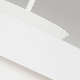 fe-brisbin-mw_detail3