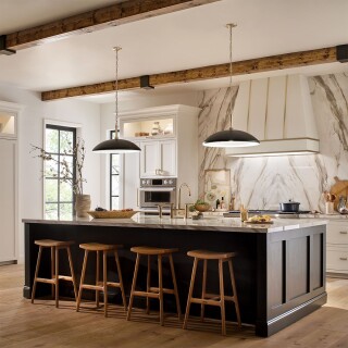 kl-delarosa-p-bk_insitu1