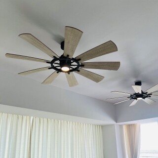 klf-gentry-85-wz_insitu1