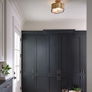 qn-chance-sf-s-hb_insitu1