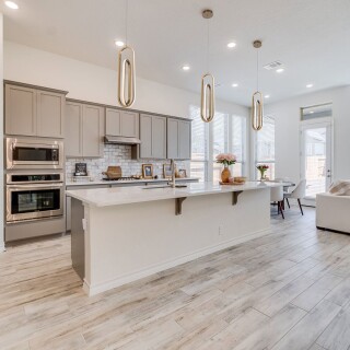 qn-demark-1p-bg_insitu1_1