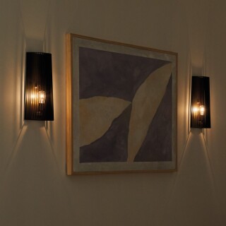 qn-linara1-bk_insitu4