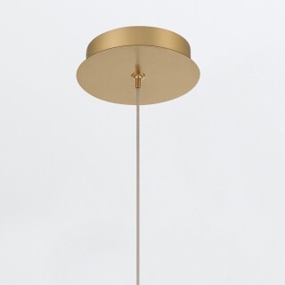 qn-palmas-1mp-bg_detail4