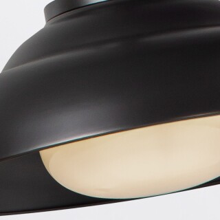 qn-palmetto-p-m-ubz_detail1