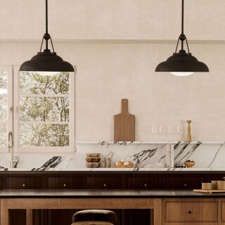 qn-palmetto-p-m-ubz_insitu1