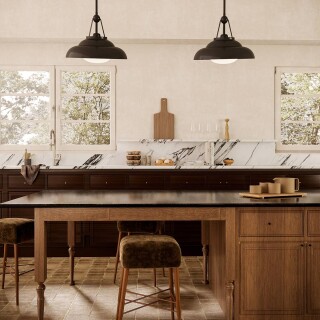 qn-palmetto-p-m-ubz_insitu2