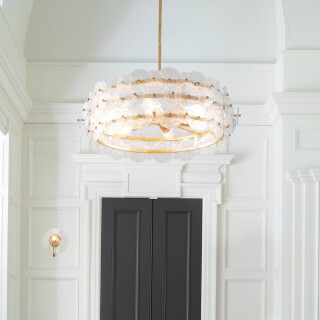 qn-rene-6p-dsb_insitu2