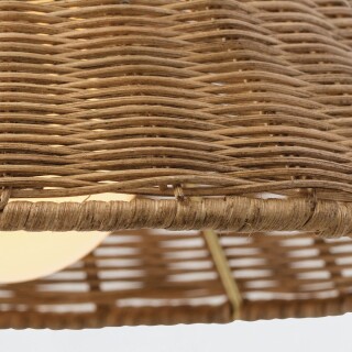 qna-padma-1wb-anb_detail4