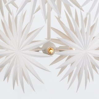 qnc-bismarkia-10p-wh_detail2