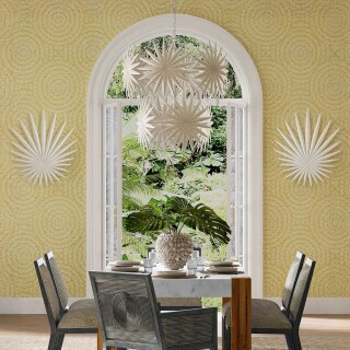 qnc-bismarkia-10p-wh_insitu2