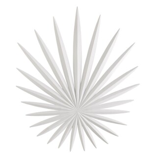 qnc-bismarkia-3wb-wh_2