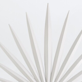 qnc-bismarkia-3wb-wh_detail2