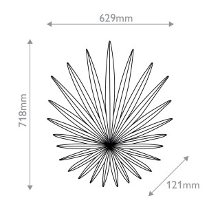 qnc-bismarkia-3wb-wh_size