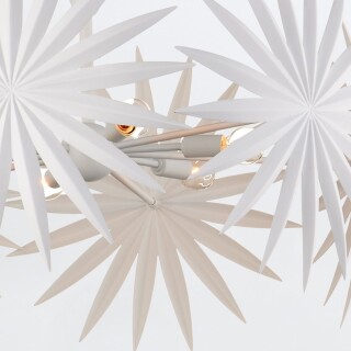 qnc-bismarkia-6p-wh_detail3