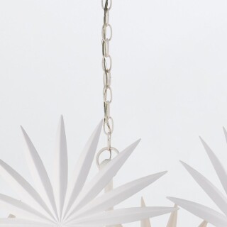 qnc-bismarkia-6p-wh_detail4