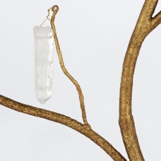 qnc-forest-5wb-wlg_detail1