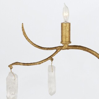 qnc-forest-5wb-wlg_detail2