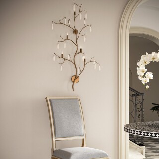 qnc-forest-5wb-wlg_insitu2