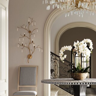 qnc-forest-5wb-wlg_insitu3