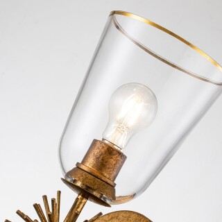 staring-2wb-dg-clear_detail2