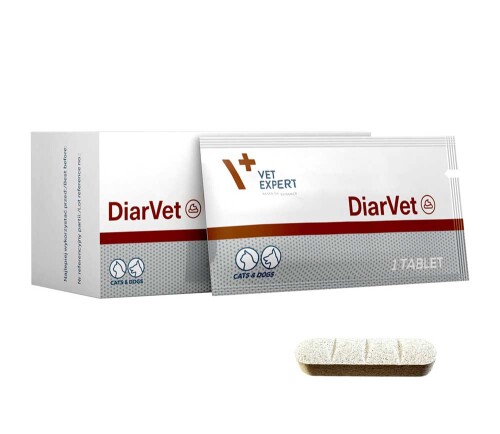 256481-DiarVet_tablets_20250314_b_2-1536x1086-1.jpg