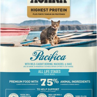 dzMPyd7ylJAzV7GUWU6oNaqstUFmI8RRaAA6qRPT