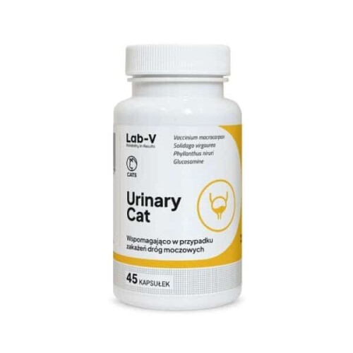 Urinary-Cat-45-600x600.jpg