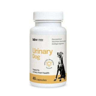 Urinary-Dog-45-1