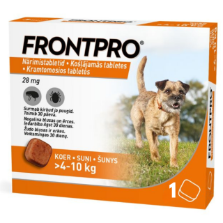 Your-paragraph-text-1