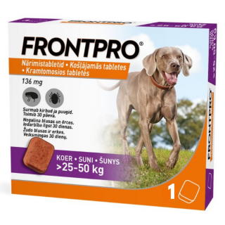 Your-paragraph-text-3