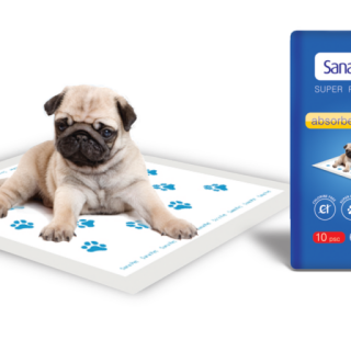 SanaPetPremium-Large-1024x512