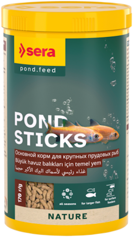 112224-26422.png