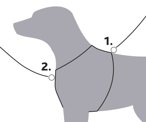 113571-26707.jpg