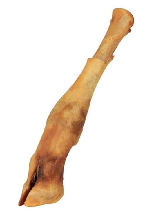 15565.jpg