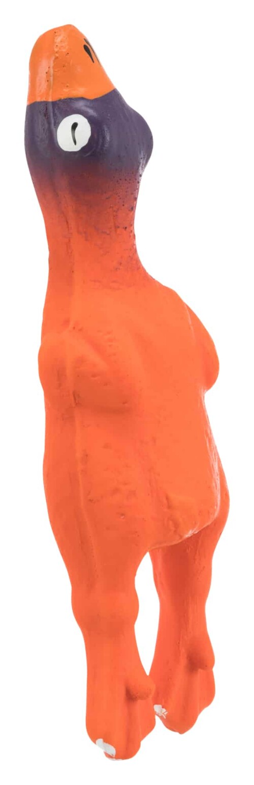 15681.jpg