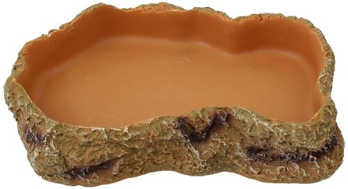 18456.jpg