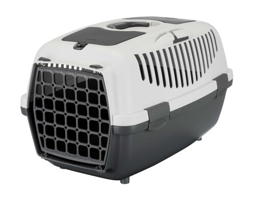19791.jpg