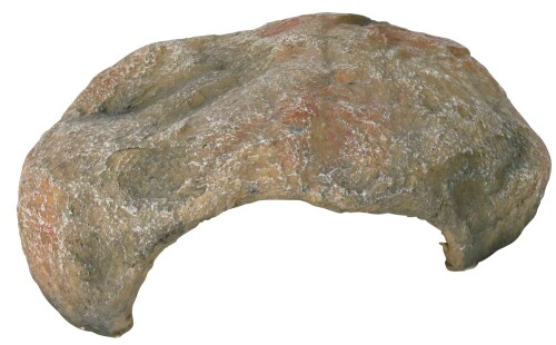 20036.jpg