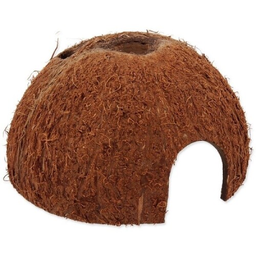 20972.jpg