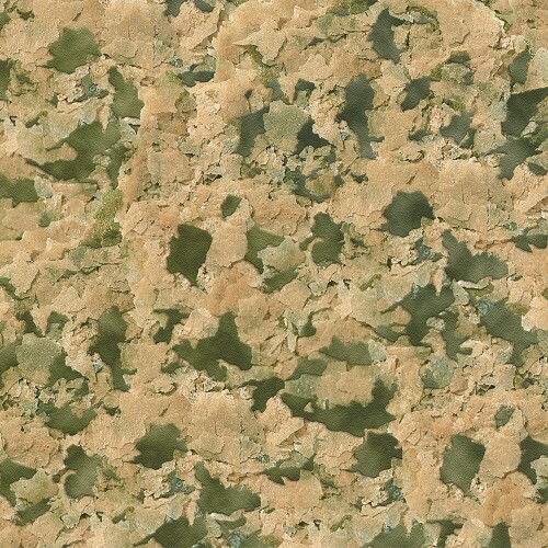 21083.jpg