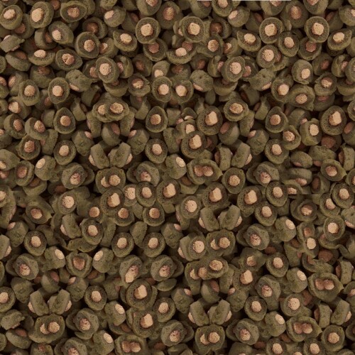 21135.jpg