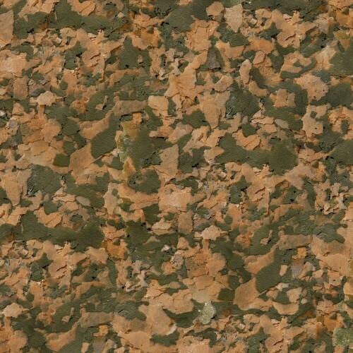 21200.jpg