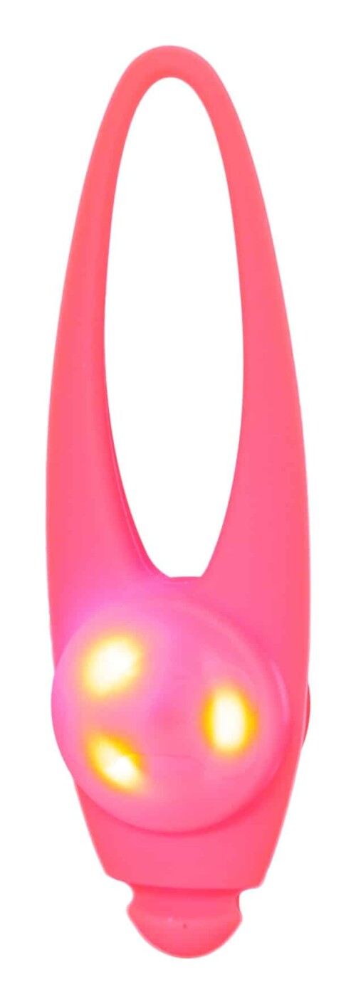 21984.jpg