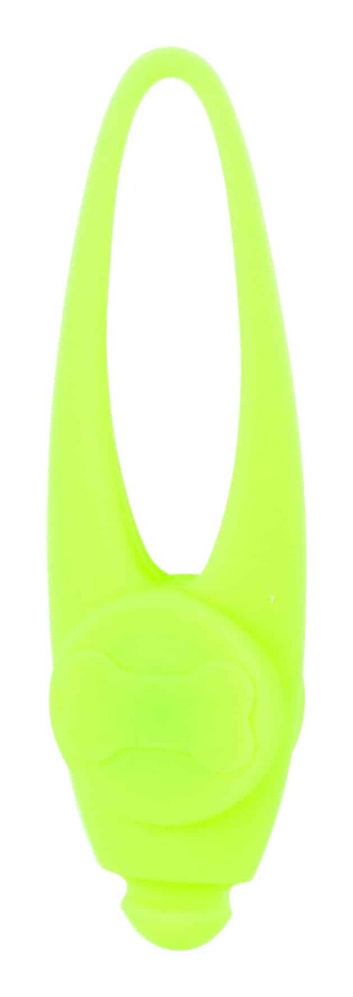 21985.jpg