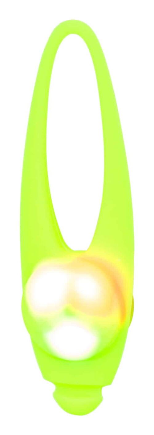21986.jpg