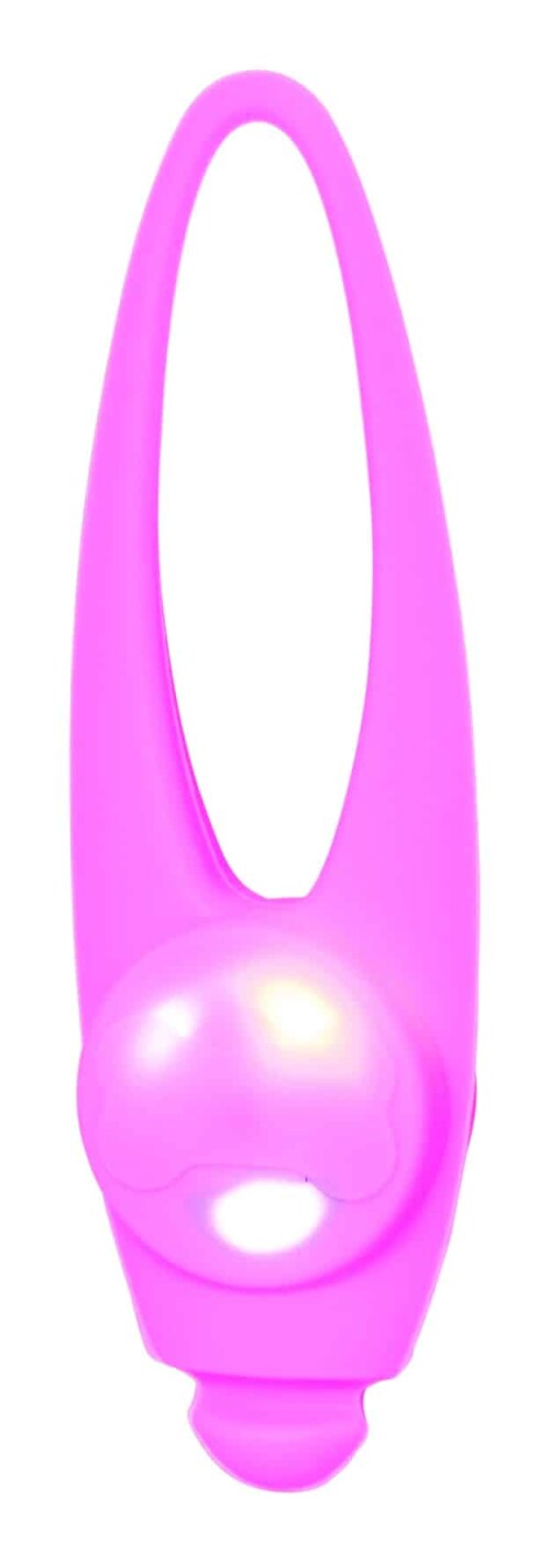 21987.jpg
