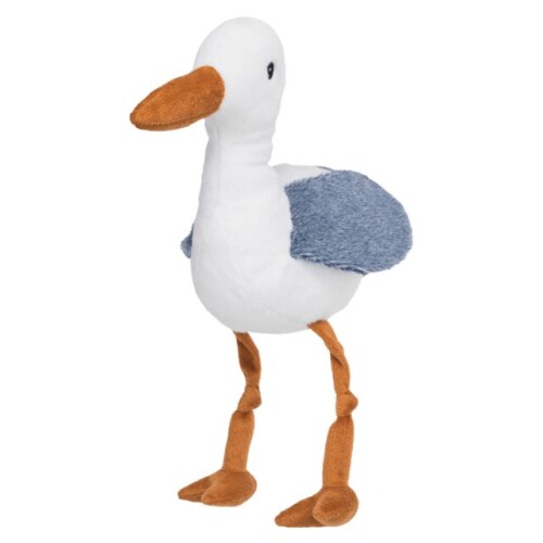 23844.jpg
