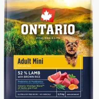 ontario-adult-mini-1781768509-1000xauto_0