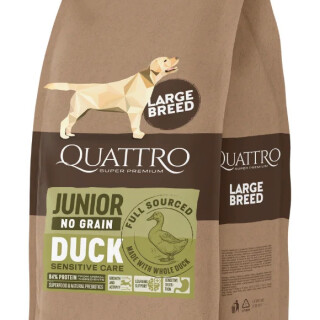 Q-Large-breed-Junior-duck-580x923px