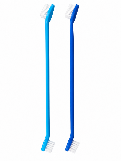 79ed8d30-1620-4c82-9924-c76dbc22e4c4.png